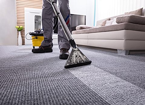 Carpet Cleaning Without Moving